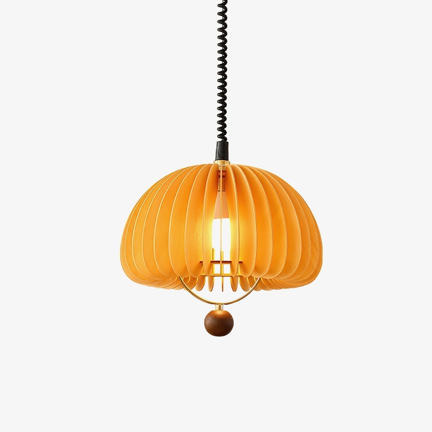 Pumpkin Adjustable Pendant Lamp For Nature Inspired Lighting NALANI