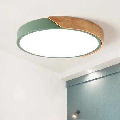 Round Flush Mount Light Fixture Acrylic Ceiling Light Green NALANI