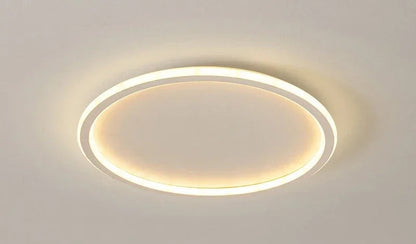 Scandinavian LED Ceiling Lamp Dimmable Modern Stylish Lighting 60cm white NaLani