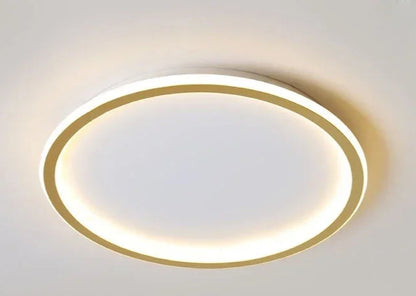 Scandinavian LED Ceiling Lamp Dimmable Modern Stylish Lighting 60cm gold NaLani