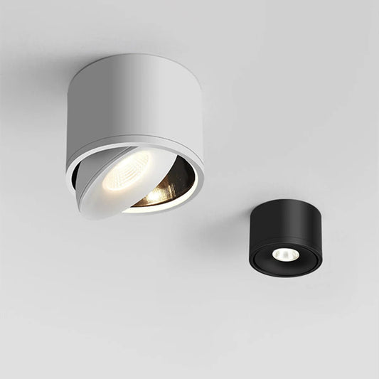 Sleek Adjustable LED Downlight 360 Degree Rotatable Ceiling Fixture NaLani