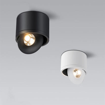Sleek Adjustable LED Downlight 360 Degree Rotatable Ceiling Fixture NaLani