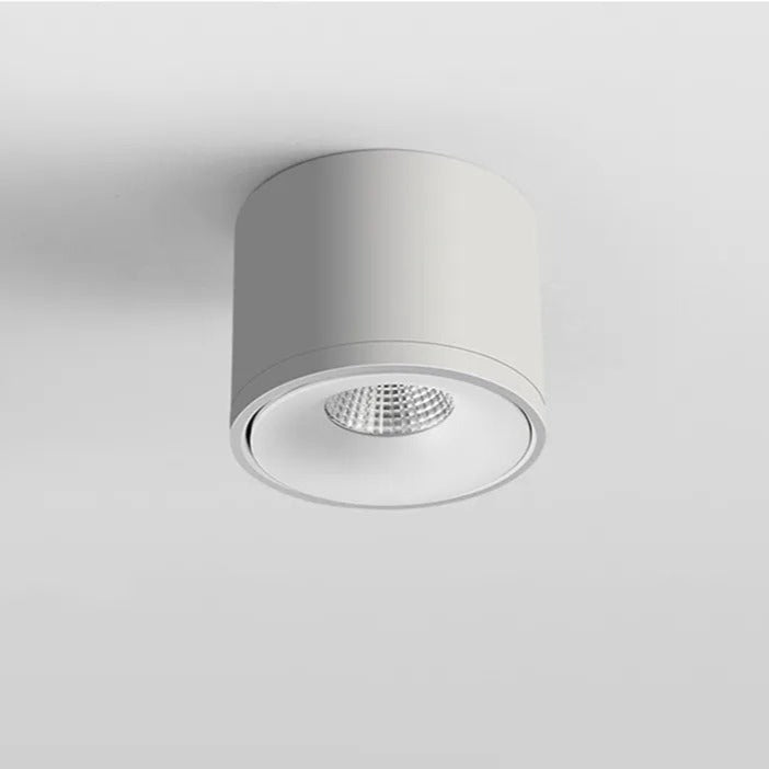 Sleek Adjustable LED Downlight 360 Degree Rotatable Ceiling Fixture White NaLani
