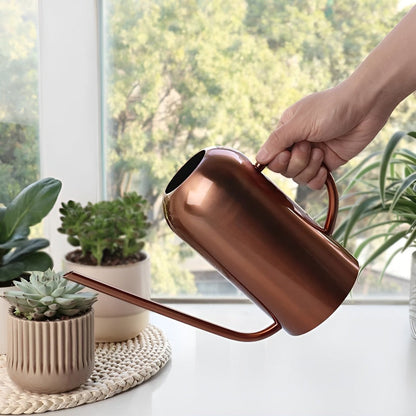 Slim Stainless Steel Watering Can With Long Spout Garden Use NALANI