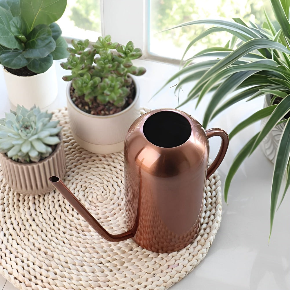 Slim Stainless Steel Watering Can With Long Spout Garden Use NALANI