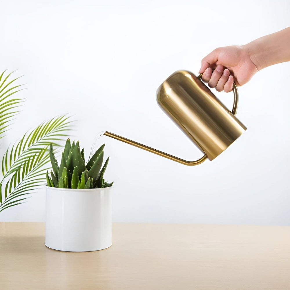 Slim Stainless Steel Watering Can With Long Spout Garden Use Gold NALANI