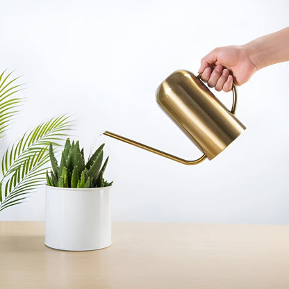 Slim Stainless Steel Watering Can With Long Spout Garden Use Gold NALANI