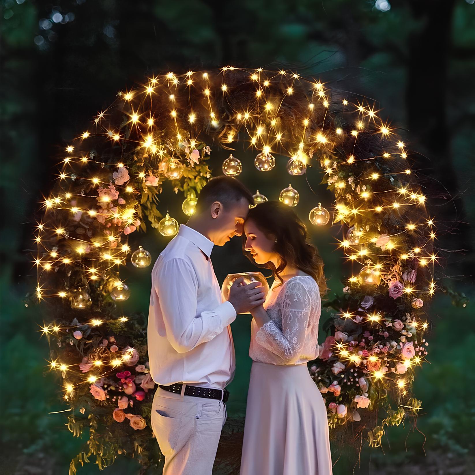 Solar String Fairy Lights for Outdoor Garden and Patio Decor NaLani