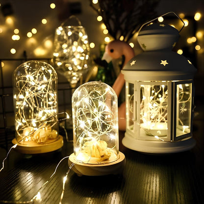 Solar String Fairy Lights for Outdoor Garden and Patio Decor NaLani