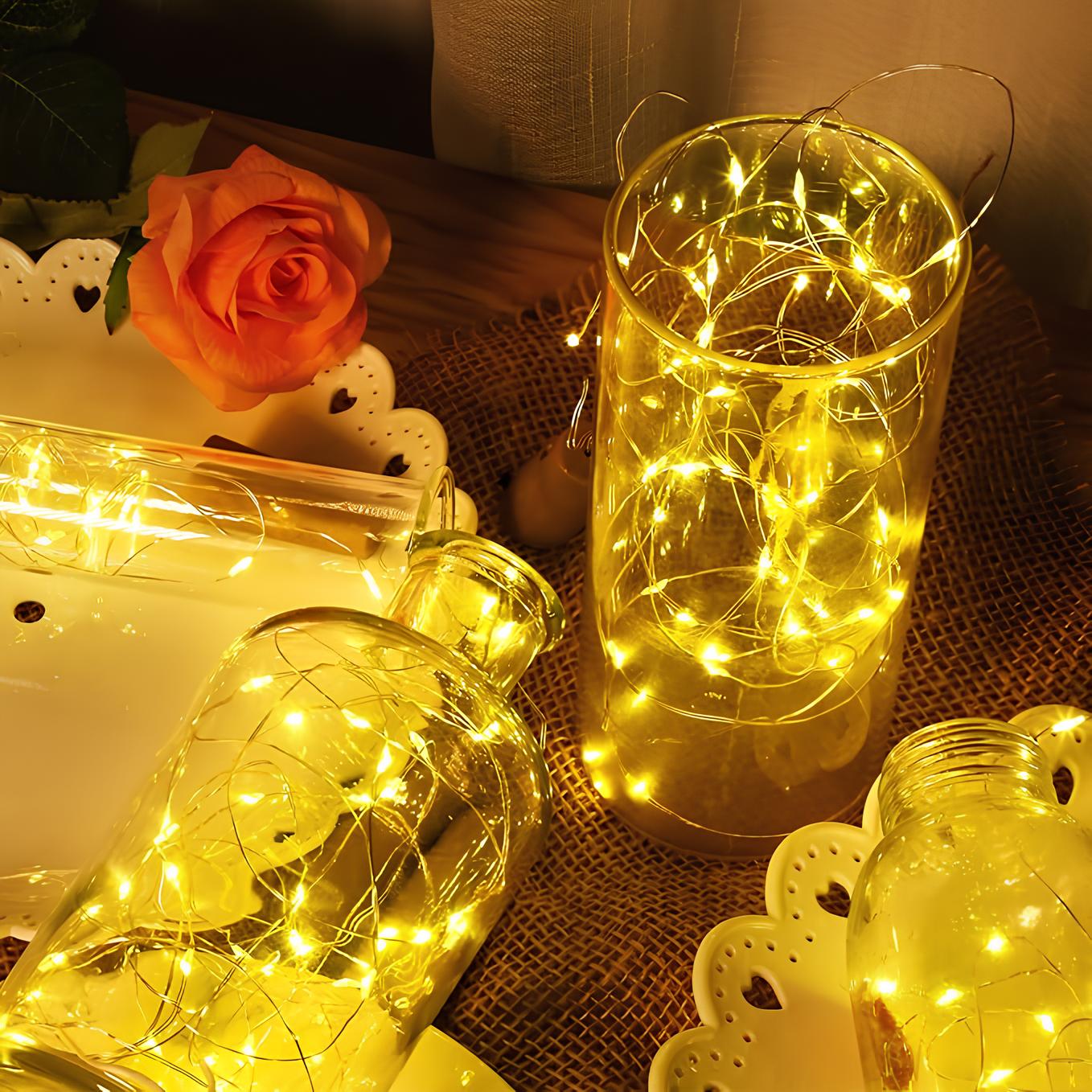 Solar String Fairy Lights for Outdoor Garden and Patio Decor NaLani