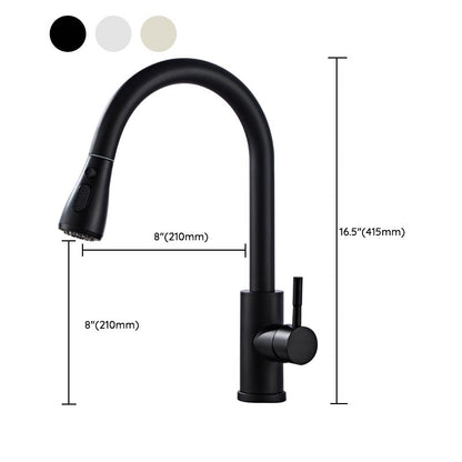 Stainless Steel Bridge Faucet With Pull Down Sprayer NALANI