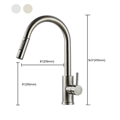 Stainless Steel Bridge Faucet With Pull Down Sprayer NALANI