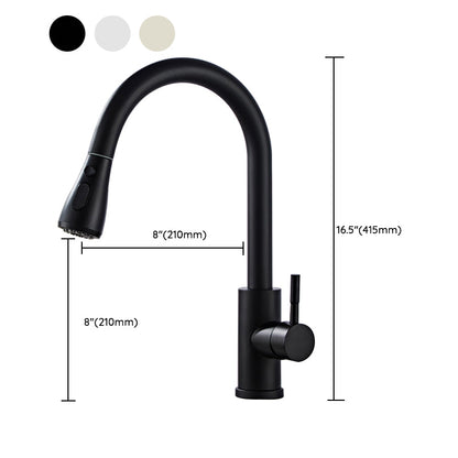 Stainless Steel Bridge Faucet With Pull Down Sprayer NALANI
