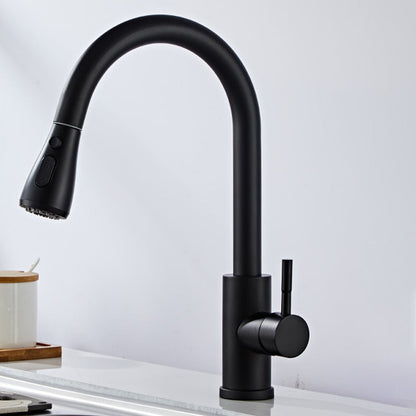 Stainless Steel Bridge Faucet With Pull Down Sprayer Black Gooseneck Faucet NALANI