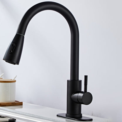 Stainless Steel Bridge Faucet With Pull Down Sprayer Black Gooseneck High Arc NALANI