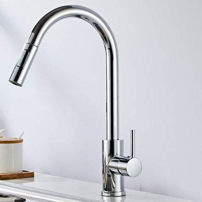 Stainless Steel Bridge Faucet With Pull Down Sprayer Silver Gooseneck Pull Out Faucet NALANI