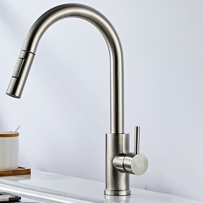 Stainless Steel Bridge Faucet With Pull Down Sprayer Stainless Steel Gooseneck Pull Out Faucet NALANI