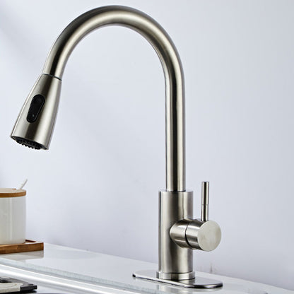 Stainless Steel Bridge Faucet With Pull Down Sprayer Stainless Steel Gooseneck High Arc NALANI