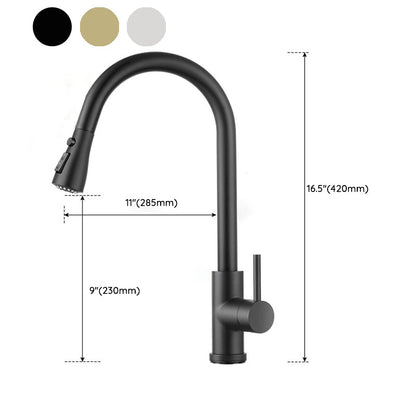 Touch Sensor Kitchen Faucet With Pull Down Sprayer High Arc NALANI