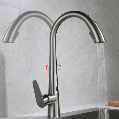 Touchless Gooseneck Kitchen Faucet With Pull Down Sprayer NALANI