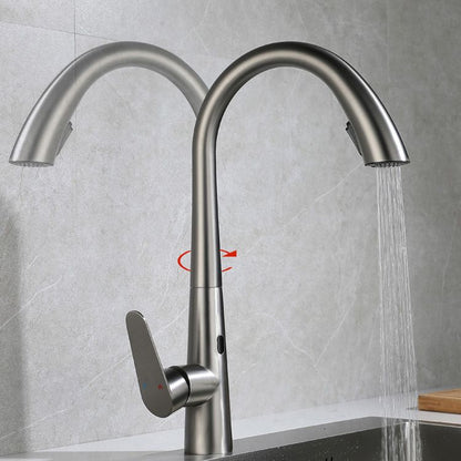 Touchless Gooseneck Kitchen Faucet With Pull Down Sprayer NALANI