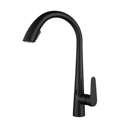 Touchless Gooseneck Kitchen Faucet With Pull Down Sprayer Black Sensor NALANI