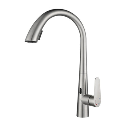 Touchless Gooseneck Kitchen Faucet With Pull Down Sprayer Silver Sensor NALANI