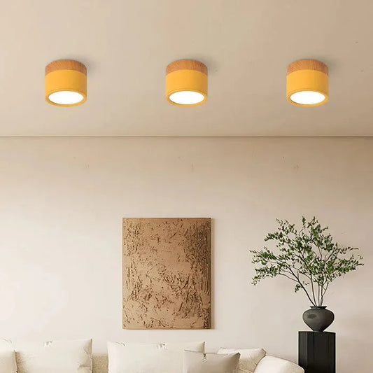Vibrant Small Ceiling Lamp for Playful Kitchen Decor Yellow NaLani
