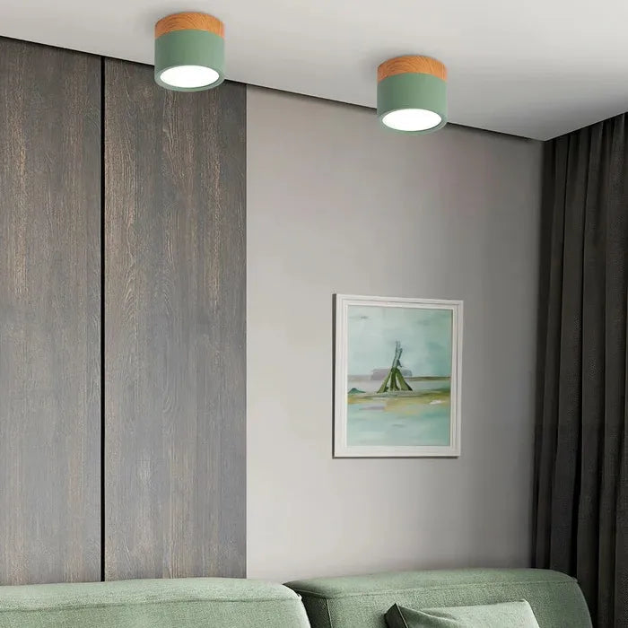 Vibrant Small Ceiling Lamp for Playful Kitchen Decor Green NaLani