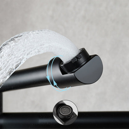 Wall Mounted Pot Filler Faucet With Pull Down Spout Handle NALANI