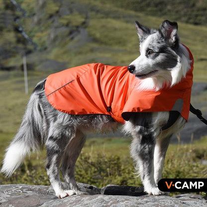 Waterproof Raincoat for Dogs and Cats in Various Sizes NALANI