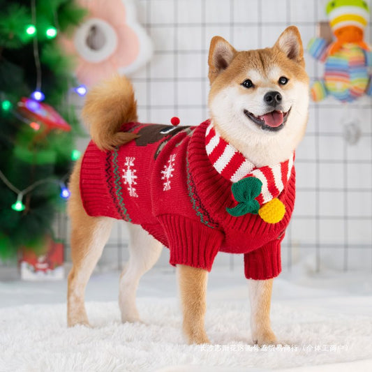 Cozy Dog Sweater With Scarf And Hat For Small To Medium NALANI