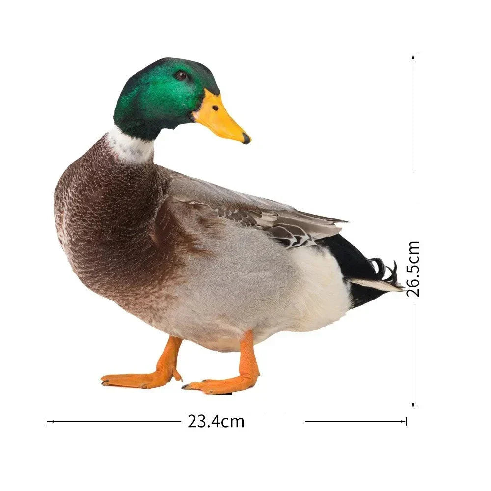 Realistic Duck Sculpture for Garden or Patio Décor NALANI