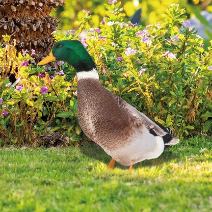 Realistic Duck Sculpture for Garden or Patio Décor w: H30 cm x W26.4 cm (H11.8 x W10.4 inches) NALANI
