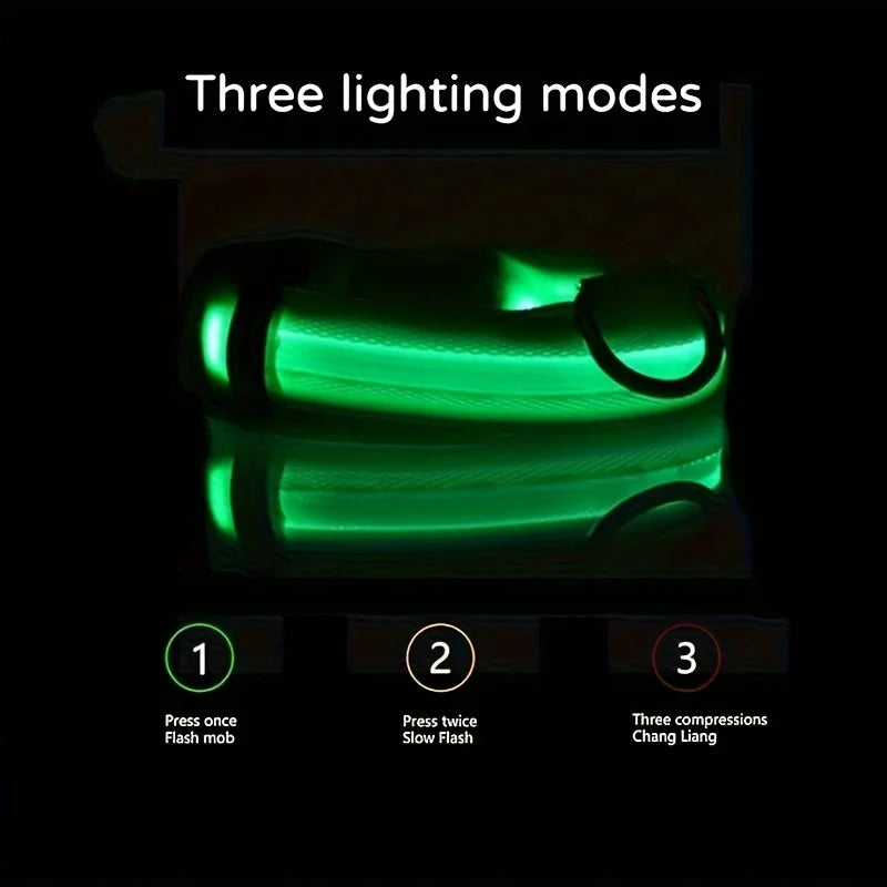 Reflective LED Dog Collar for Night Safety and Visibility NALANI