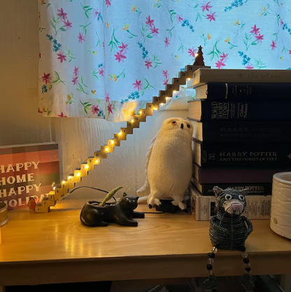 Funny Santa Countdown Advent Calendar Gift For Christmas