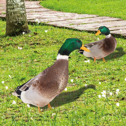 Realistic Duck Sculpture for Garden or Patio Décor a: H26.5 cm x W23.4 cm (H10.4 x W9.2 in) NALANI