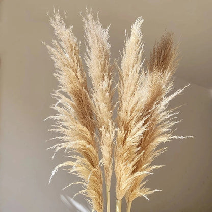 Large Dried Pampas Grass Bouquet for Boho Home Decor Naturally NaLani