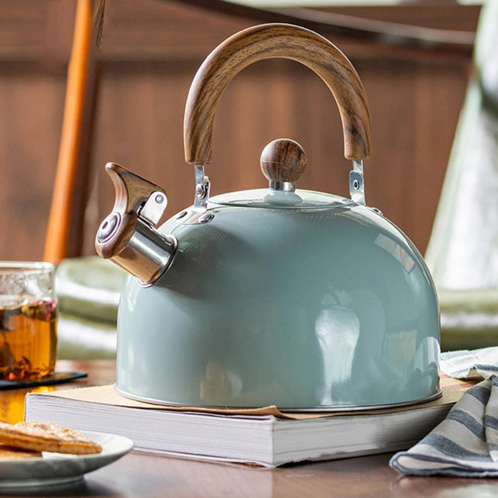 Elegant Whistling Stainless Steel Kettle Quick Boil Fast Light green 3L NALANI