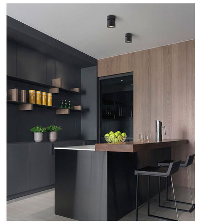 Arvesso | LED Ceiling Light Surface Mounted 360 Degrees Round Curve Rotation NaLani