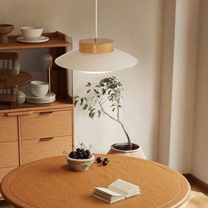 Diapole | Rice Bowl Hanging Lamp - Creative Pendant Light for Home Decor NaLani