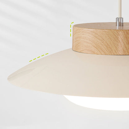 Diapole | Rice Bowl Hanging Lamp - Creative Pendant Light for Home Decor NaLani