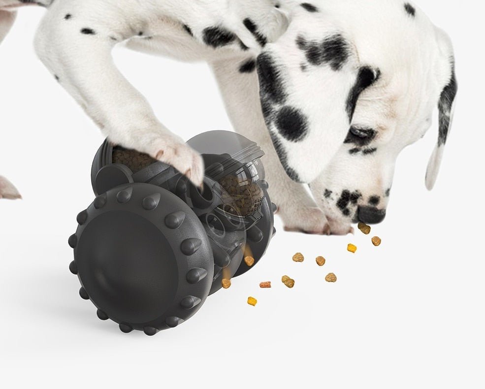 Duke | Interactieve Honden Speel Roller - Blauw - #NALANI#