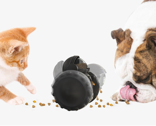 Duke | Interactieve Honden Speel Roller - Zwart - #NALANI#