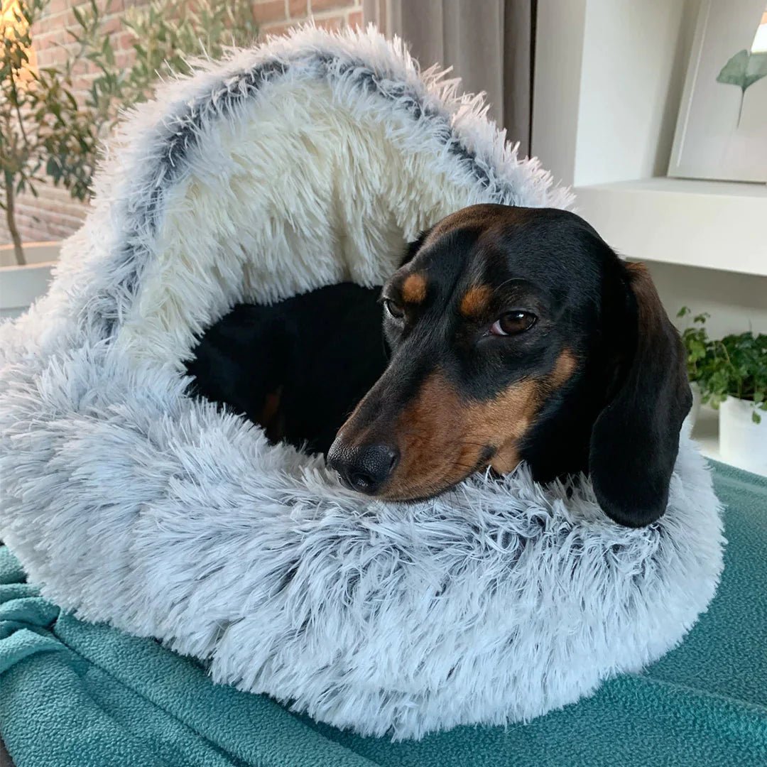 Fluffyheaven | Huisdierenbed - honden mand - Beige - #NALANI#