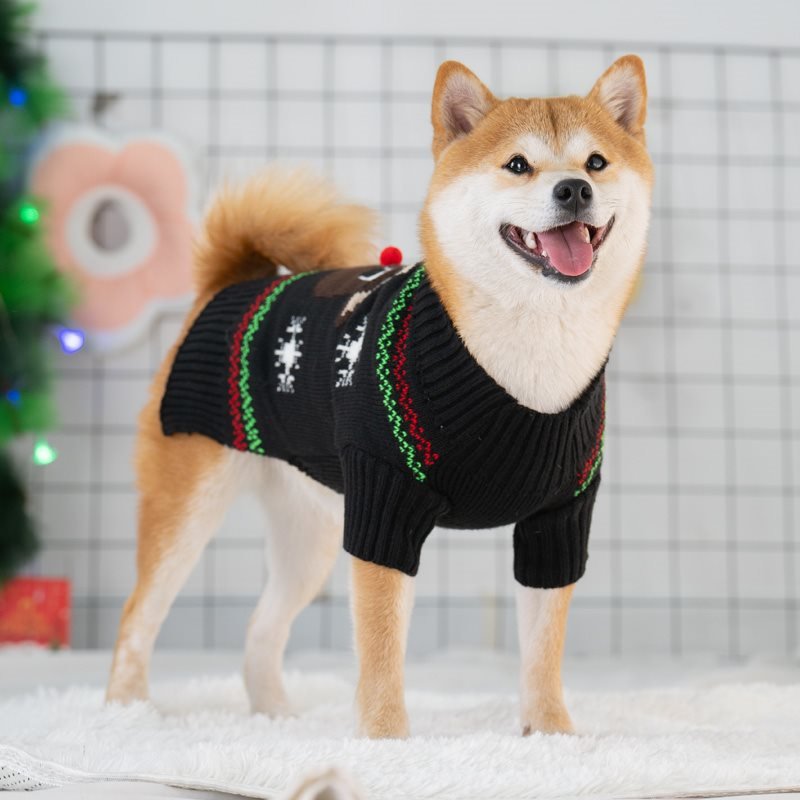 Cozy Dog Sweater With Scarf And Hat For Small To Medium - Nalani - UK Fashion Clothing and Decor