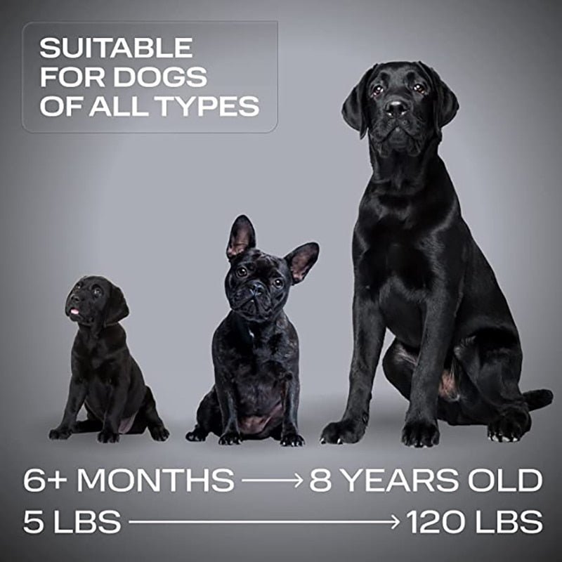 Electronic Dog Bark Deterrent Whistle Safe Training - Nalani - UK Fashion Clothing and Decor