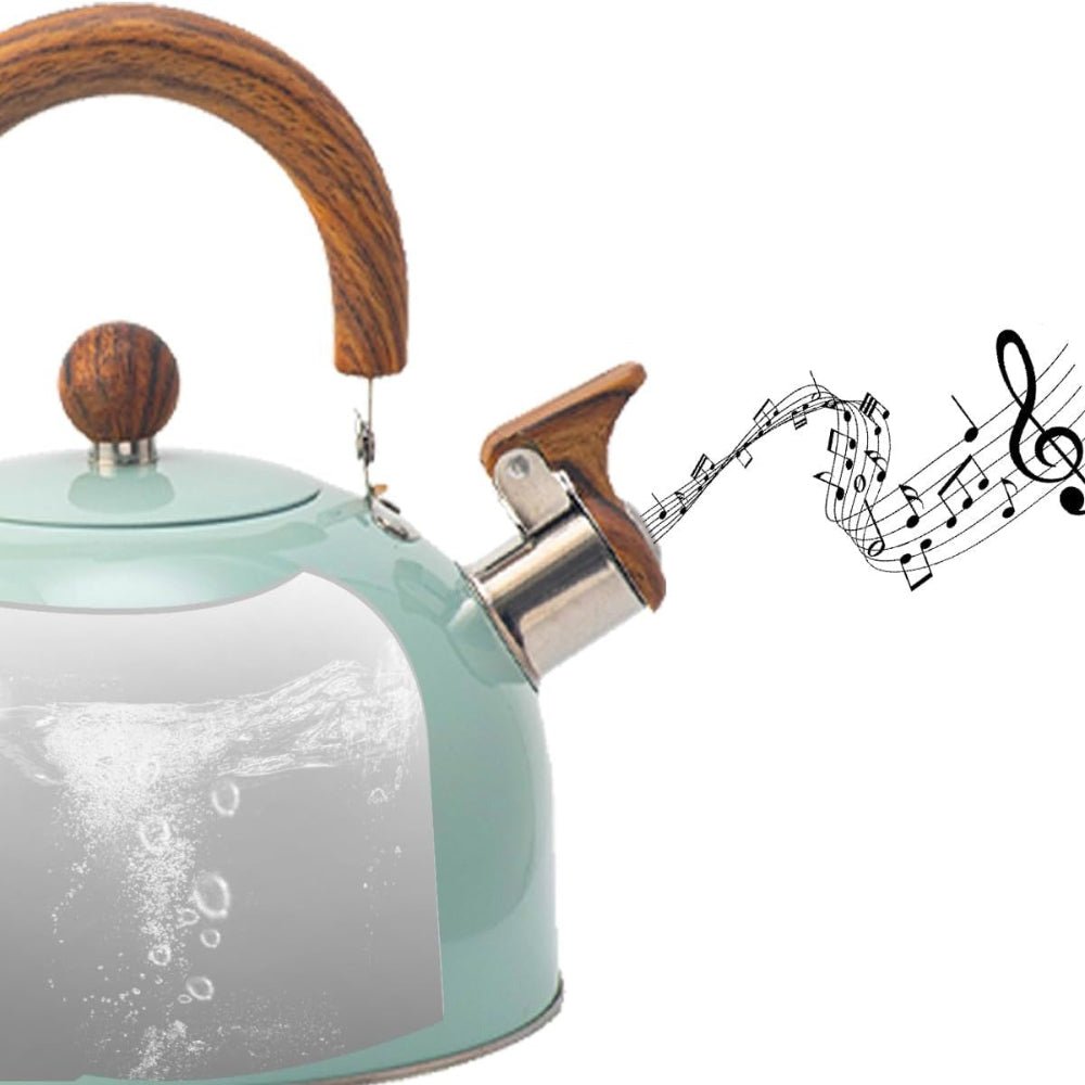 Elegant Whistling Stainless Steel Kettle Quick Boil Fast - Nalani - UK Fashion Clothing and Decor