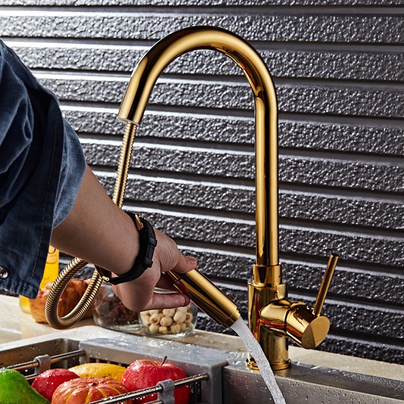 Gold Finish Single Hole Kitchen Faucet With Pull Sprayer - Nalani - UK Fashion Clothing and Decor