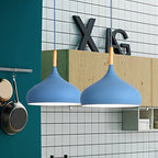 Nordic Teardrop Pendant Light With Metal Shade 1 Light - Nalani - UK Fashion Clothing and Decor